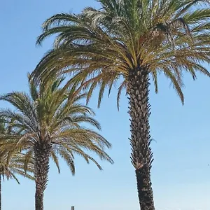  Appartement Studio Roses Plage Espagne